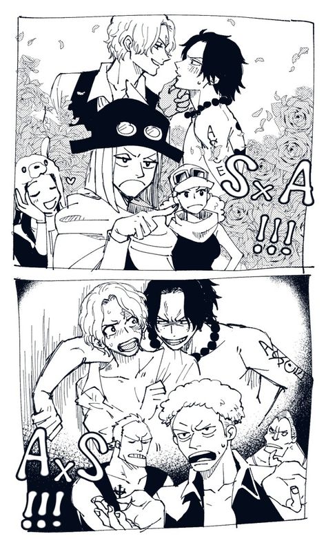 Ace X Sabo, Ace Comics, Ace Sabo Luffy, Ace And Luffy, Cat Body, One Piece Crew, One Piece Ace, One Piece Ship, Comic Pictures