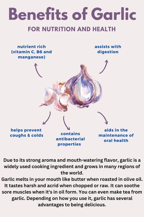 Health Benefits Of Garlic, Onion Benefits, Garlic Health, Benefits Of Garlic, Cloves Benefits, Garlic Health Benefits, Growing Healthy Hair, Garlic Benefits, Garlic Bulb