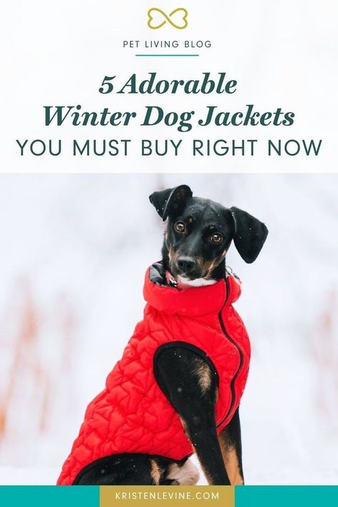 Whether you have harsh cold winters or mild winters, you'll love these adorable dog clothes! Check out these winter dog jackets that will keep your pup warm and adorable all winter long.