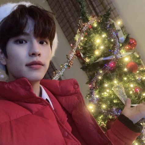 Crismas Tree, Christmas Icons, Stray Kids Seungmin, Kids Icon, Celebrity Art, Kids Wallpaper, Kids Pictures, Christmas Wallpaper, Of Wallpaper