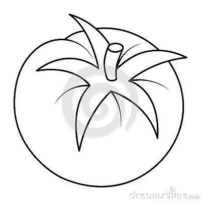 tomato-sketch-vector-illustration-coloring-book-kids-doodle-style-outline-isolated-background-vegetable-culture-solanaceae-genus-vegan-food-healthy-vegetable-stalk-harvesting-seasonal-organic-product-idea-web-design Vegitabal Photo Drawing, Tomato Drawing For Kids, Tomato Drawings, Vegetable Outline, Tomato Sketch, Vegetables Sketch, Vegetables Drawing, Tomato Drawing, Blue Bathrooms