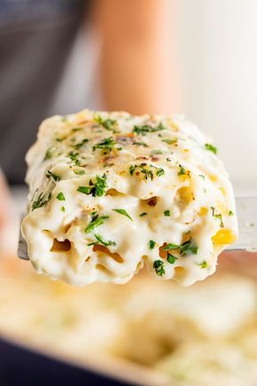 Chicken alfredo roll-ups are a dreamy, creamy weeknight dinner masterpiece. Chicken Alfrado, Chicken Alfredo Roll Ups, Shaker Recipes, Alfredo Roll Ups, Lasagne Roll Ups, Chicken Alfredo Lasagna, Alfredo Lasagna, Beef Meals, Pasta Alfredo