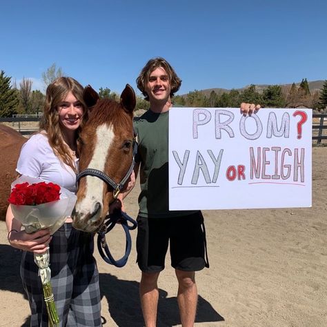 Cross Country Prom Proposal, Horse Hoco Proposals, Morp Proposal, Country Promposal, Prom Posals Ideas, Sadies Proposals, Prom Posals, Sadies Proposal, Cute Promposals