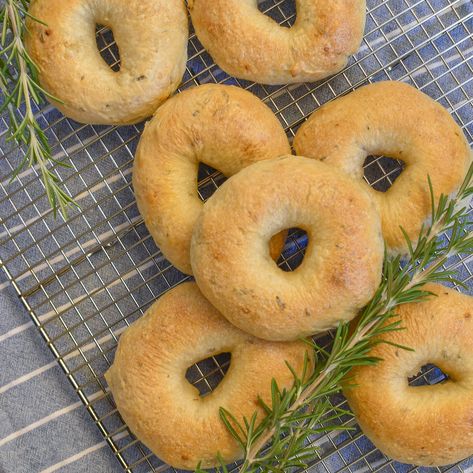 Its hard to go for a walk in our neighborhood without getting entranced by the smell of fresh rosemary.  Its so inspiring!  On our last walk, Brandon requested bagels and the bold classic combo of rosemary and garlic did not disappoint!  sourdough bagels . rosemary and garlic bagels . rosemary and garlic sourdough bagels . homemade bagels . homemade sourdough bagels Rosemary Garlic Sourdough, Garlic Bagels, Bagels Homemade, Garlic Sourdough, Sourdough Bagels, Homemade Sourdough, Zucchini Salad, Hawaiian Chicken, Homemade Bagels