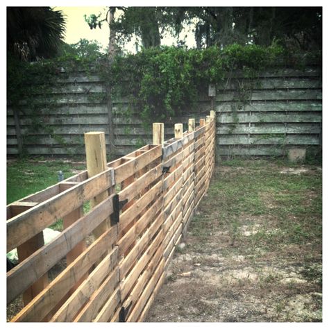 Pallet Fence Diy, Diy Backyard Fence, Fence Installation, Fencing Ideas, Backyard Fence, Pallet Fence, Diy Fence, Front Yard Fence, Farm Fence