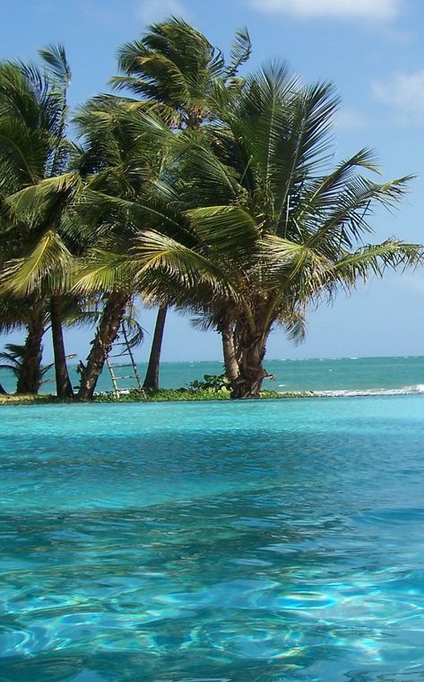 Foto Aesthetic, America Latina, Porto Rico, Alan Walker, Coconut Girl, Puerto Rico, Pool Float, Coconut, Pool