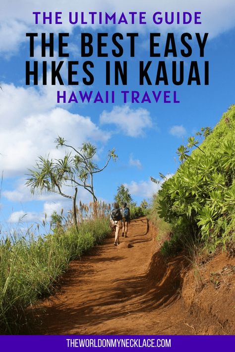 Kauai Hikes, Kauai Waterfalls, Kauai Hiking, Hawaii Hiking, Kauai Activities, Hawaii Living, Hawaii Lifestyle, Hawaii Hikes, Kauai Travel