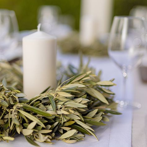 From branch to bouquet, our Olive Wedding Line offers a touch of organic luxury with our expertly crafted olive garlands and candle rings. For more information on our wedding collection, click the link in our bio! Contact your sales rep or info@cfgreens.com for pricing. #Olive #Olivewedding #Olivegarland #Garlands #Weddinggarland #Weddingdecor #candlering #handmade #Weddingcollection #weddinggreenery #greenery #Californiagrown Olive Branch Garland, Olive Wedding, Organic Luxury, Candle Rings, Garland Wedding, Greenery Wedding, Wedding Collection, Click The Link, Our Wedding