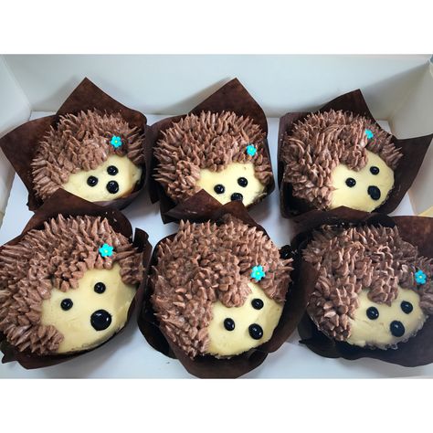 Hedgehog cupcakes Hedgehog Cupcakes, Hedgehog Cupcake, Food Diy, Cake Creations, Diy Food, Diy Food Recipes, Birthday Ideas, Diy Ideas, Fondant