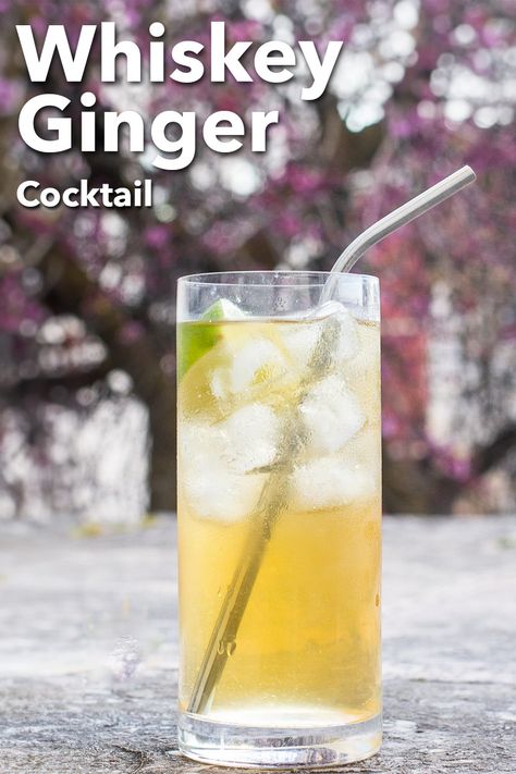 Pinterest image: photo of a Whiskey Ginger cocktail with caption reading "Whiskey Ginger Cocktail" Ginger Whiskey Cocktail, Whiskey Ginger Ale Cocktail, Jameson And Ginger Ale, Jameson Cocktails Easy, Ginger Ale Cocktail Recipes, Jameson Whiskey Drinks Cocktail Recipes, Cocktails With Ginger Ale, Jameson Whiskey Drinks, Jameson Cocktails