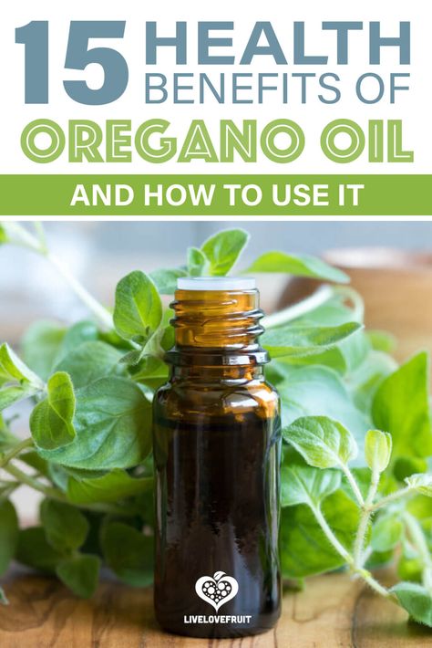 Benefits Of Oregano, Oregano Oil Benefits, Oregano Essential Oil, Oregano Oil, Natural Antibiotics, Essential Oil Benefits, Herbs For Health, Oil Benefits, Herbal Blends