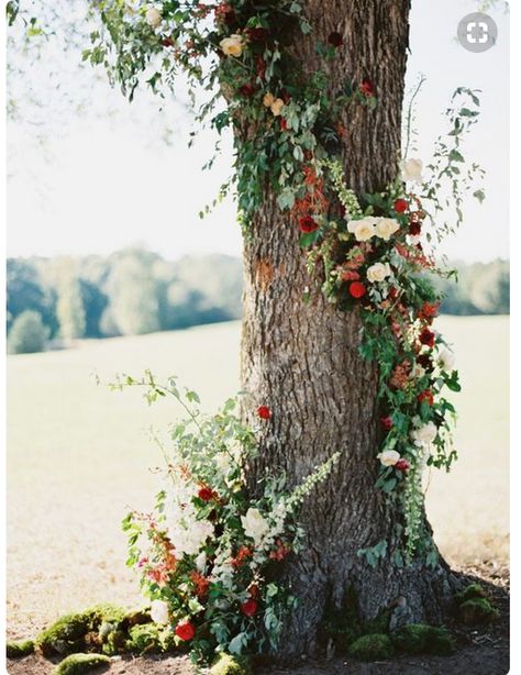 Floral garland wrapped on tree Oak Tree Ceremony, Tree Wedding Ceremony, Halloween Chic, Ceremony Florals, Photo Corner, Wedding Ceremony Ideas, Red Wedding Flowers, Boda Mexicana, Preowned Wedding Dresses