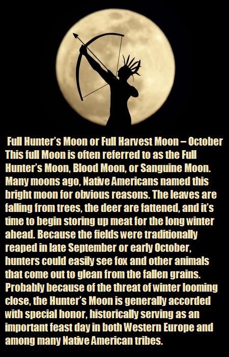 Hunters Moon, Solar Eclipse Magic, Full Moon Quotes, Celtic Tree Calendar, October Libra, Libra Season, Moon Quotes, Moon Crafts, Moon Calendar