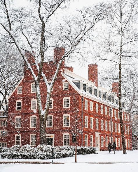 SearchBoston’s Instagram profile post: “Harvard Yard, Harvard University. Photo by @quackieduck. 📸 . . . . . #boston #bostonma #bostonmass #bostonmassachusetts #bostonphoto…” Harvard Yard, Boston Winter, Architecture Classic, Snowy Scene, Townhouse Designs, Famous Buildings, Winter Love, Harvard University, Winter Scenery