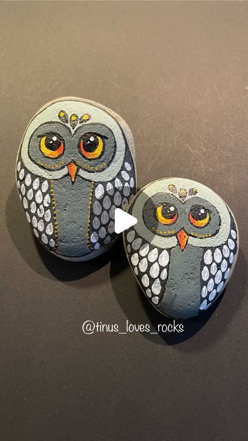 Drawing Rocks, Owl Rocks, Quilt Display, Painted Rock Animals, Happy Stones, Beautiful Owl, Paint Projects, Painting Rocks, Instagram Time