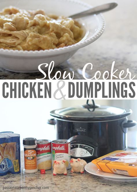 Slow Cooker Chicken Dumplings, Dumplin Recipe, Slow Cooker Chicken And Dumplings, Chicken Dumplings Recipe, Passionate Penny Pincher, Penny Pincher, Crockpot Dishes, Simple Food, Chicken Slow Cooker Recipes