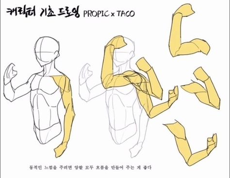 Concept Drawing, Taco Taco, Arm Drawing, Anatomy Tutorial, Body Drawing Tutorial, Human Anatomy Drawing, Hand Drawing Reference, Human Drawing, Anatomy Sketches