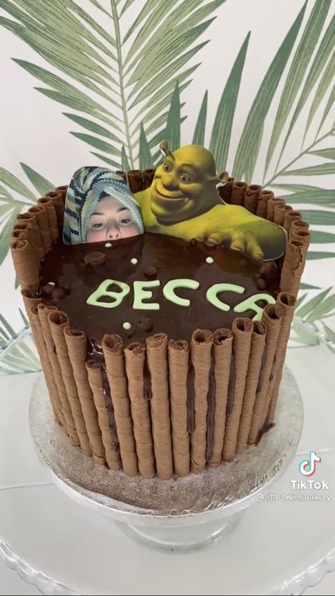 Shrek Cake, Ugly Cakes, Funny Birthday Cakes, Idee Pasto, 18th Birthday Cake, Creative Birthday Cakes, Creative Birthday, Pretty Birthday Cakes, Think Food