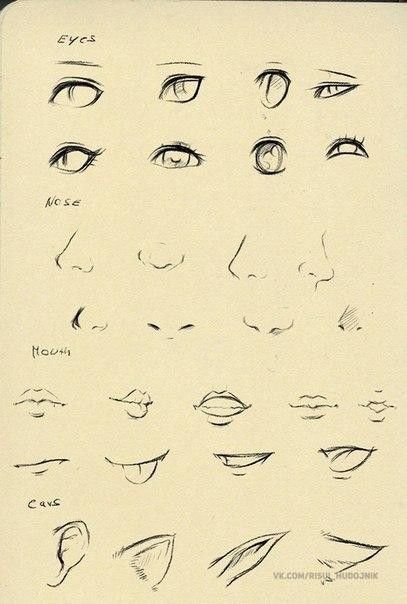 Manga Nose, Cartoon Noses, Anime Nose, How To Draw Braids, Mouth Drawing, Eye Drawing Tutorials, Drawing Eyes, Anime Tutorial, Nose Drawing