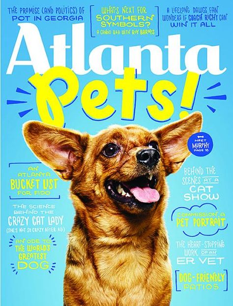 Pet Advertising, Pet Magazine, Social Media Campaign Design, Pet Branding, Pet Wellness, Dog Branding, Magazine Layout Design, Motion Graphics Design, Print Layout