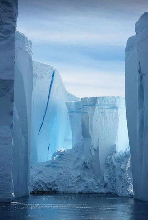 Icy Tower, Antarctica Cruise, Antarctica Travel, Travel Photography Nature, Snow And Ice, Architecture Portfolio, Nature Landscape, Amazing Nature, Driveway