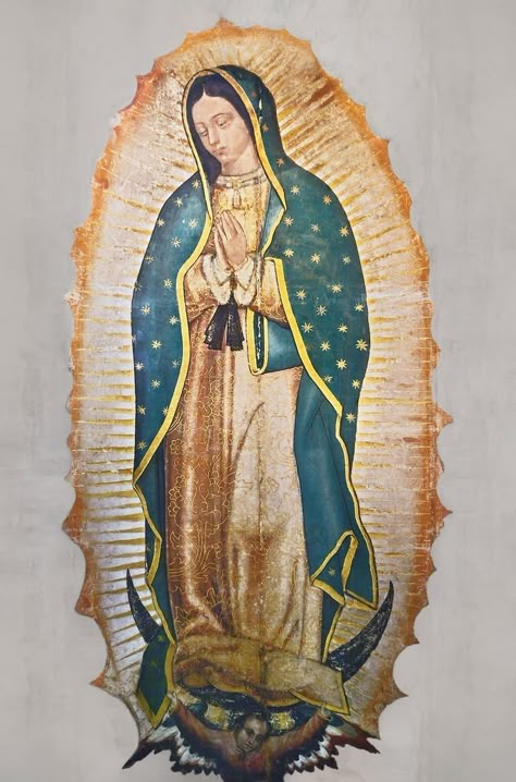 Virgen Of Guadalupe, Catholic Wallpaper, Virgin Mary Art, Mexican Culture Art, Catholic Pictures, Virgin Of Guadalupe, Catholic Images, Blessed Mother Mary, Jesus Christ Images