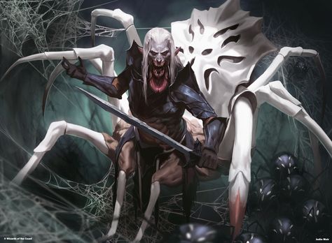 ArtStation - Drider Drider Art, Jodie Muir, Dungeons And Dragons Adventures, Mtg Art, Forgotten Realms, Dnd Monsters, Dungeons And Dragons Characters, Dark Elf, Magic Art