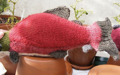 Ravelry: Sockeye Salmon by Christie Rowe Salmon Crochet Pattern, Crochet Salmon Fish Pattern, Salmon Crochet, Knitted Fish, Red Salmon, Sockeye Salmon, Sweater Patterns, Salmon Fish, Crochet Things