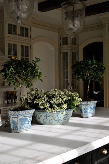 gardenia topiaries and potted flowers in large dough bowl... Porcelain Planter, Blue White Decor, The Enchanted Home, Enchanted Home, White Planters, Chinoiserie Chic, Blue And White China, Blue China, French House