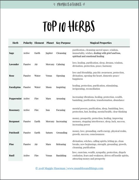 Using Herbs in Witchcraft — Mumbles & Things Herbs In Witchcraft, Herb Meanings, Practical Magic Quotes, Herbs For Sleep, Magic Energy, Witchcraft Herbs, Magickal Herbs, Oils For Sleep, Grimoire Book