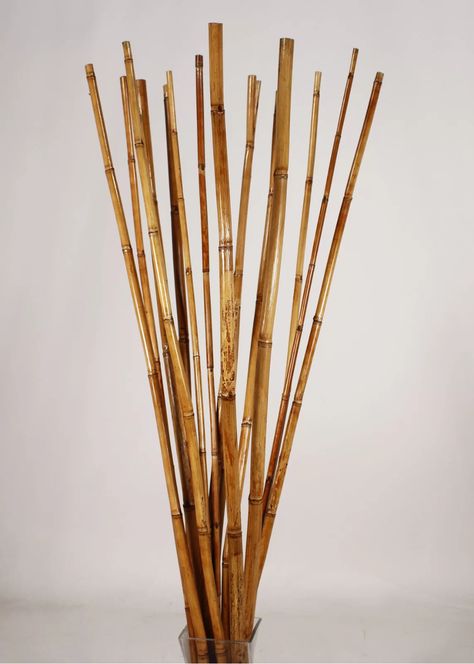 Bay Isle Home 15 Piece Natural River Cane Floor Branch Set & Reviews | Wayfair Honey Pack, Large Floor Vase, Floral Crafts, Bamboo Decor, Bamboo House, Black Floor, Floral Craft, Floor Vase, Nature Decor