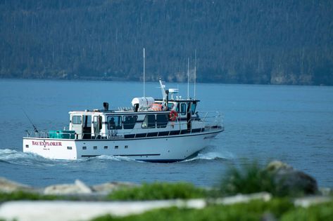 Alaska Halibut Fishing & Halibut Charters | Homer Ocean Charters Alaska Hunting, Halibut Fishing, Alaska Fishing, Juneau Alaska, Alaska Travel, Best Fishing, Fishing Trip, Hunting Fishing, Alaska