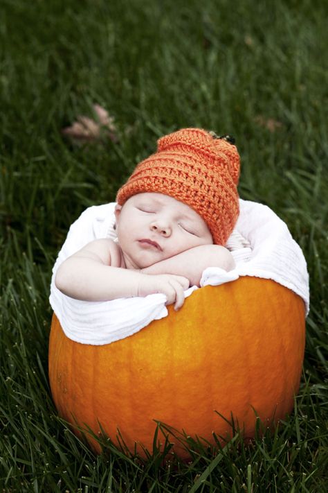 Baby Spa, Pumpkin Pictures, Pumpkin Photos, Toddler Pillow, Pack And Play, Outdoor Baby, Baby In Pumpkin, Fall Baby, Newborn Pictures