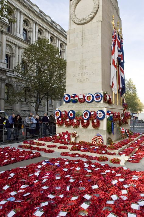 Remembrance Day poems and quotes for Poppy Day 2017 Remembrance Day Poems, Remembrance Day Quotes, Poppy Day, Poems And Quotes, Memorial Day Quotes, Remembrance Day Poppy, Remembrance Sunday, Kingdom Of Great Britain, London Places