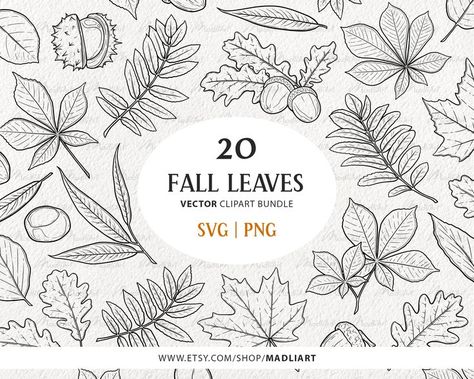 Fall Leaves Svg, Leaf Illustrations, Rowan Tree, Leaf Clipart, Leaf Illustration, Fruit Photography, Leaves Vector, Vector Clipart, Fall Leaves