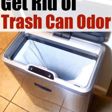 How to Deodorize Kitchen Garbage Cans Ant Repellent, Carpet Deodorizer, Kitchen Garbage, Kitchen Trash Can, Antique Drawers, Kitchen Trash, Breastfed Baby, Kitchen Trash Cans, Baby Sleep Problems