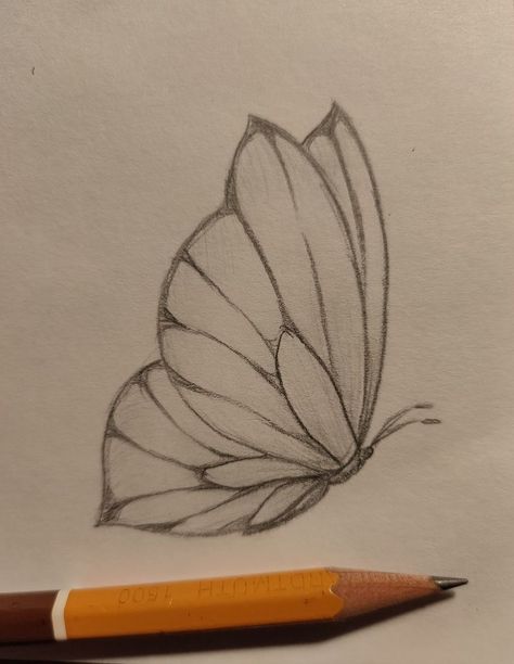 Sketch Ideas Butterfly, Butterful Drawing, Fun Drawing Ideas Doodles, Art Sketches Butterfly, Drawing Ideas Green, Nature Drawings Simple Sketch, Lukisan Haiwan, Summer Sketches, Butterfly Sketch