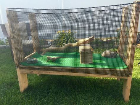 Bearded Dragon Terrarium Ideas, Bearded Dragon Diy, Bearded Dragon Enclosure, Bearded Dragon Terrarium, Bearded Dragon Cage, Bearded Dragon Habitat, Outdoor Enclosure, Bearded Dragon Tank, Bearded Dragon Diet