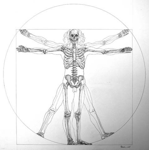 Skeleton. Vitruvian Man Leonardo Da Vinci. Skeleton. #Skeleton #Vitruvian #Man #Proportions #Ideal_Figure #Ideal_Proportions Vitruvius Man Tattoo, Vitruvian Man Drawing, Da Vinci Tattoo Ideas, Vitruvian Man Tattoo Design, Human Anatomy Tattoo, Vitruvian Man Art, Vitruvian Man Tattoo, Leonardo Da Vinci Vitruvian Man, Da Vinci Vitruvian Man