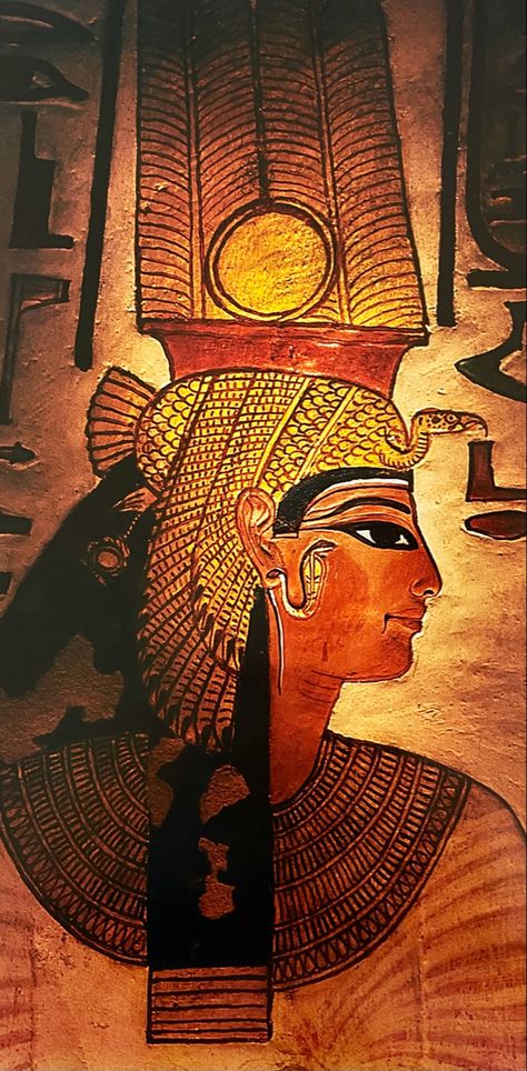 Queen Nefertari,first wife of Pharaoh Ramses II-Photo Kenneth Garrett Queen Nefertari, Egyptian Civilization, Egypt Museum, Pyramids Egypt, Ramses Ii, Sun Rises, King Tut, Tutankhamun, Egyptian History