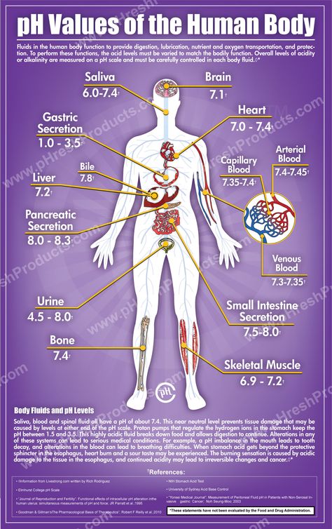 Ph values of the human body Ph Chart, Human Body Facts, Endocannabinoid System, Biology Lessons, Medical School Studying, Nursing School Notes, Human Anatomy And Physiology, Medical Anatomy, Medical Studies