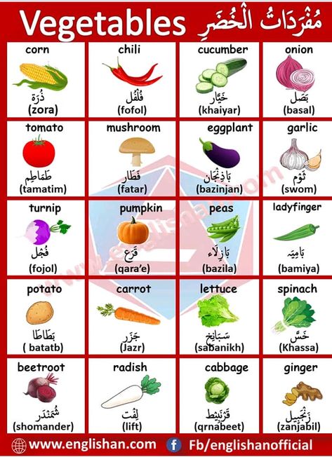 Learning Arabic MSA (Fabienne) Arabic To English Words, Arabic Vegetables, Basic English Vocabulary, Learning Arabic For Beginners, Arabic Verbs, English And Arabic, Spoken Arabic, English Language Course, Learn Arabic Online