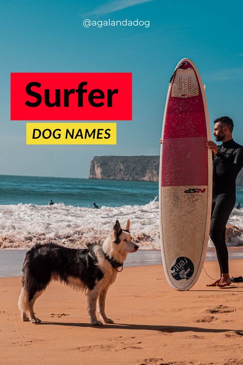 a surfer and his dog on the beach. Hawaiian Dog Names, Creative Dog Names, Dog Names Girl, Boy Dog Names, Water Names, Girl Dog Names, Cute Names For Dogs, Surfer Boy, Tropical Girl