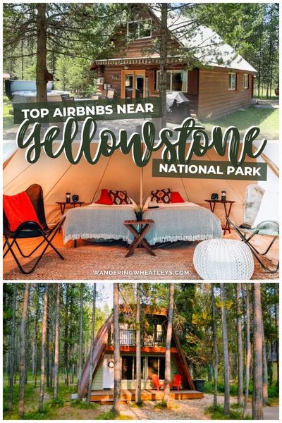 Things To Do In Yellowstone Park, Things To Do In Yellowstone, Yellowstone National Park Vacation, Wyoming Vacation, Trip Activities, Yellowstone Vacation, Vacation 2024, Yellowstone Trip, Most Beautiful Places To Visit