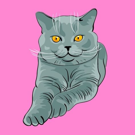 #BritishShorthairCats Cat Cartoon Images, British Short Hair, Short Hair Cats, British Shorthair Cats, Shirt Hair, Case Hp, British Shorthair, Cat Face, Cartoon Cat