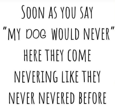 Dog Quotes Funny, Sarcastic Humor, Dog Quotes, Quotes Funny, Funny Quotes, My Love, Clip Art, Humor, Funny