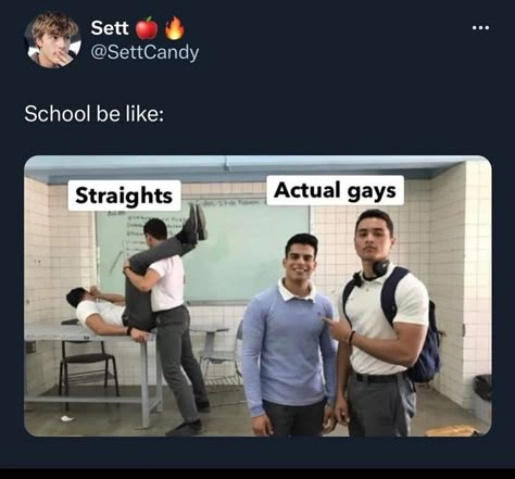 LGBT Memes To Hold You Over Until Pride Season Lgbtq Quotes Funny, Pride Memes Funny, Lgbtq+ Memes Funny, Lgbtq Pride Funny, Funny Gay Humor, Lgbtq Humor, Funny Gay Memes, Queer Humor, Bi Memes