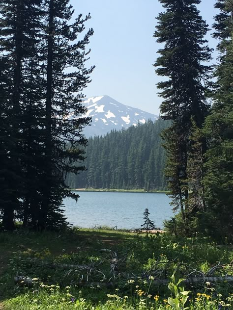 Lost Lake Oregon, Oregon Lakes, Oregon Summer, Lake Oswego Oregon, Life In Paradise, Pretty World, The Mountains Are Calling, Nature Aesthetic, Pretty Places