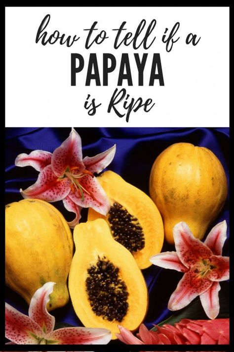 Papaya Recipes Healthy, Papaya Recipes, Ripe Papaya, Tropical Salad, Fruit Picking, Refreshing Food, Sweet Smell, Ripe Avocado, Juicy Fruit