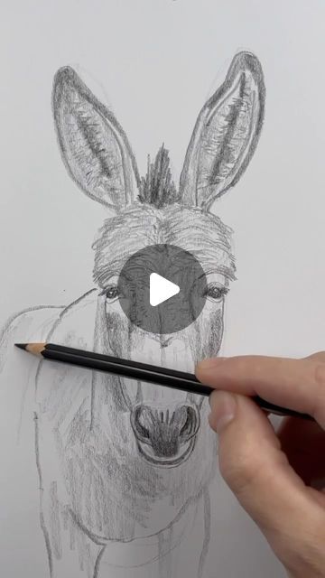 Mark Liam Smith on Instagram: "Sunday Subscriber Special! Draw a donkey line by line. 
I’m making this week’s subscriber-only content available to all followers. 👍" Drawings Of Donkeys, Donkey Drawing Easy, Cute Donkey Drawing Art, Donkey Paintings, Donkey Painting, Donkey Drawing, Donkey Art, Drawing Grid, Weird Drawings